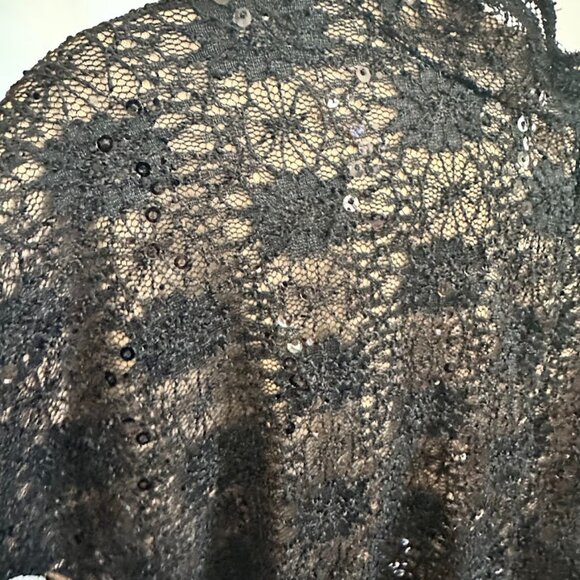 Alex Evenings Women's Plus 24W Black Lace Evening Dress with Sequins NWT - Picture 3 of 10